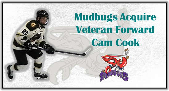 Mudbugs Acquire Veteran Forward Cam Cook