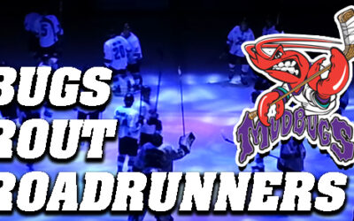 Mudbugs Sweep Topeka