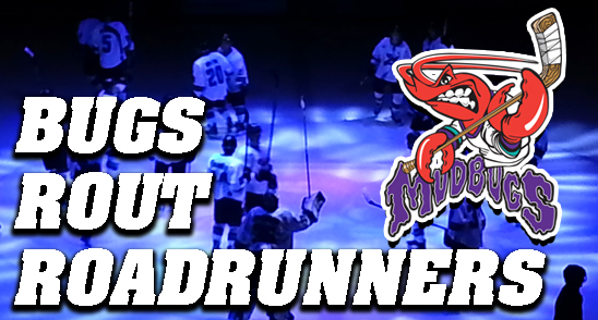 Mudbugs Sweep Topeka