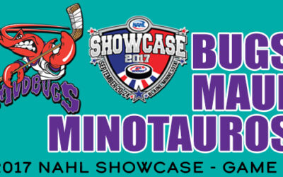 BUGS MAUL MINOTAUROS