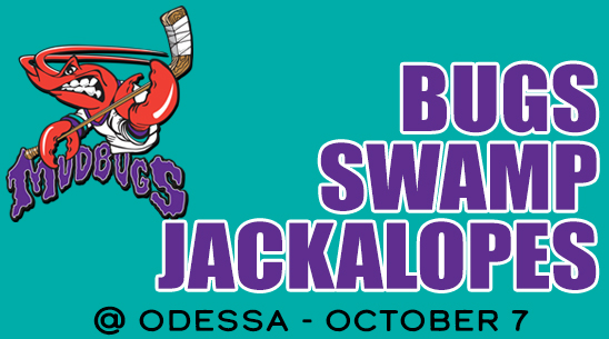 BUGS SWEEP ODESSA