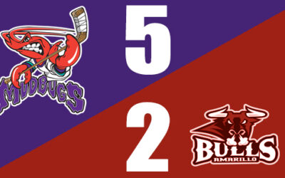 Bugs Sweep the Bulls