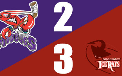Bugs Fall to Corpus Christi