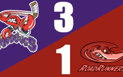 BUGS SWEEP ROADRUNNERS