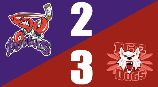 Mudbugs Fall to the Ice Dogs