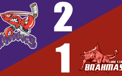 Bugs Sweep the Brahmas at Home