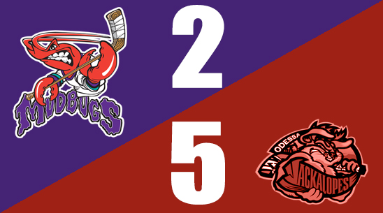 Bugs Fall Short as Regular Season Concludes