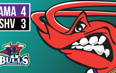 Mudbugs Drop Heartbreaker to Bulls in Game 3