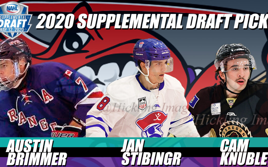 2020 NAHL Supplemental Draft Recap