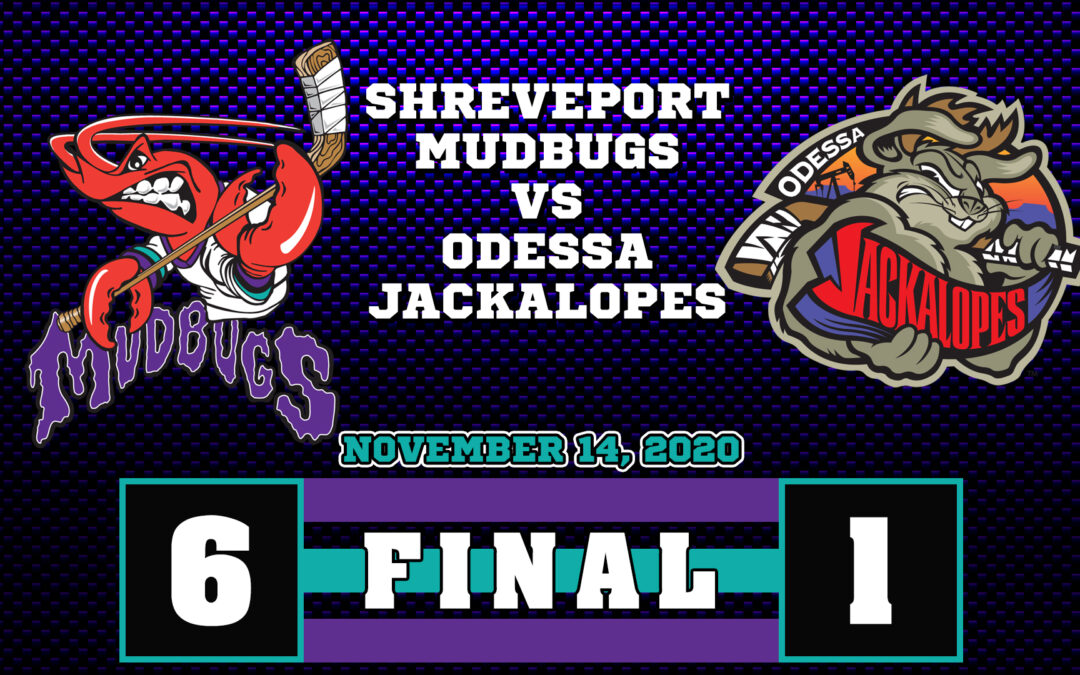 Bugs Sweep Jacks