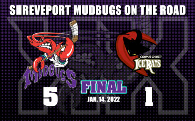 Bugs Rout Rays