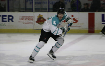 Bugs’ Late Comeback Falls Short to Rhinos