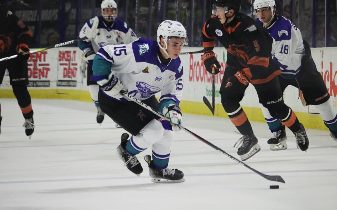 Brahmas Slip Past Bugs in Testy New Year’s Eve Tilt