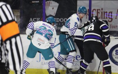 Bugs Fight Past Brahmas in Series Opener at Nytex
