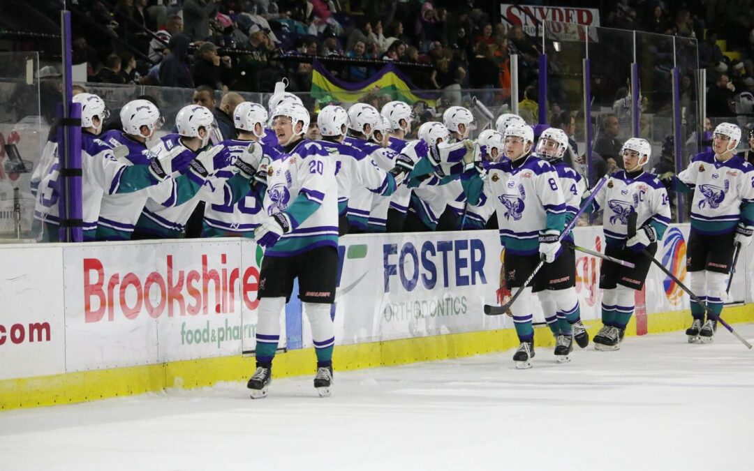 Bugs Grind Past Grit in Shootout to Earn another Sweep & Win Their Fifth Straight