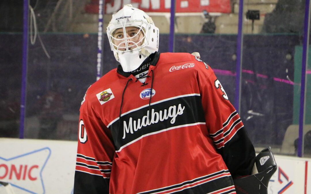 Jacks Overwhelm Bugs in Home Series Opener