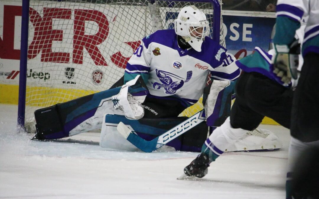 Goich, Bugs Shutout IceRays in Big Series Finale Opener; Move Into Tie for 2nd Place in South Division
