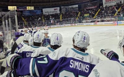 Hoglund’s Hat Trick Lifts Bugs Past Wolves